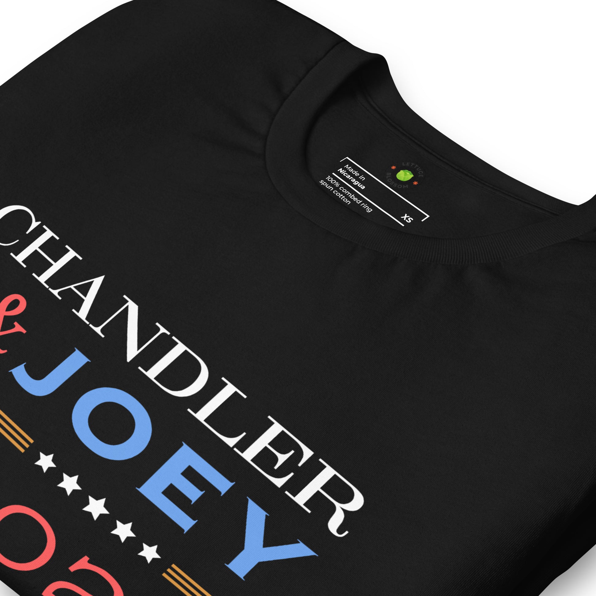 funny-election-tees-friends-tv-show-tshirt-chandler-joey-for-president-2024-vote-tee