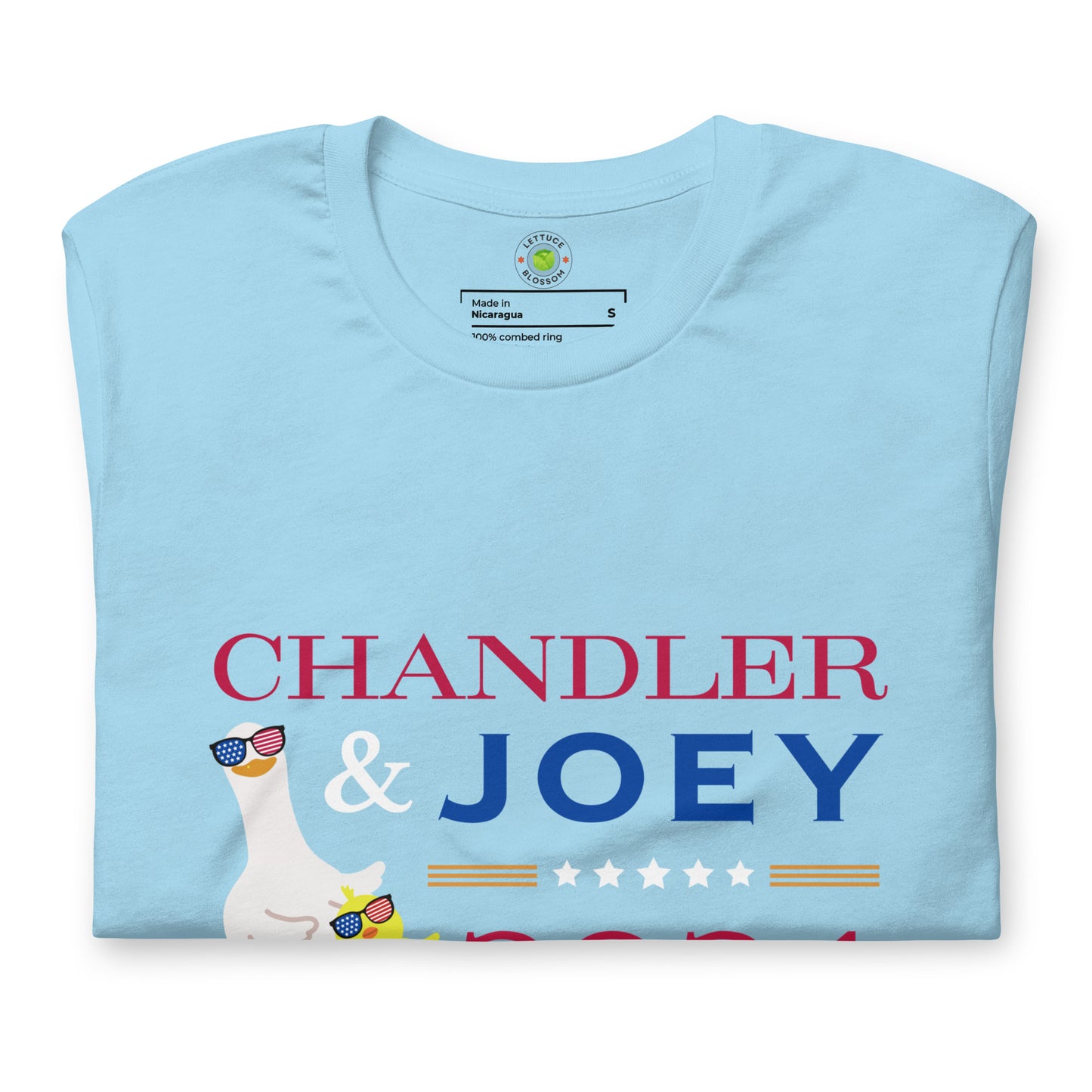 funny-election-tee-friends-tv-show-tshirt-chandler-joey-for-president-2024-vote-tees