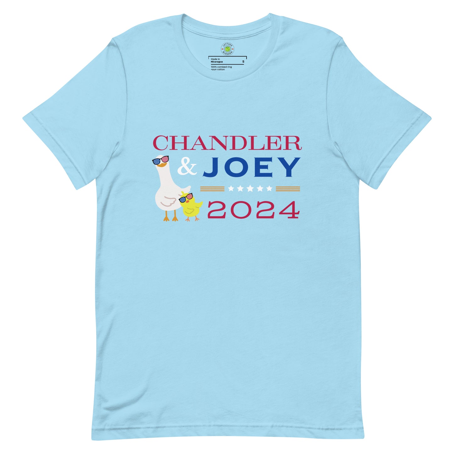 funny-election-tee-friends-tv-show-tshirt-chandler-joey-for-president-2024-vote-tees